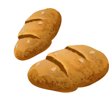 B体育